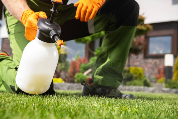 Professional Pest Control in Chincoteague, VA