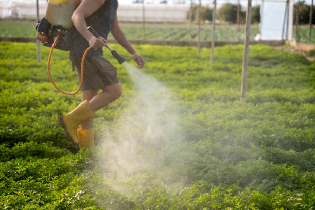 Best Affordable Pest Control Services  in Chincoteague, VA
