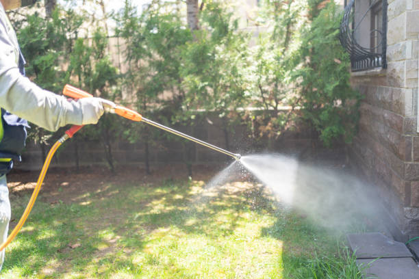 Wasp Removal Services in Chincoteague, VA