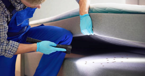 Best Flea Control Services  in Chincoteague, VA