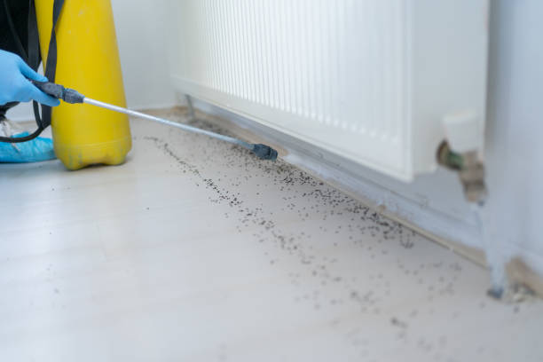 Best Emergency Pest Control  in Chincoteague, VA