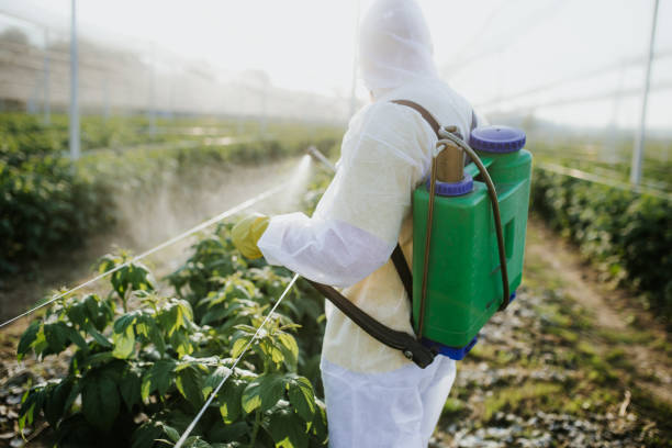 Best Exterminator Services  in Chincoteague, VA
